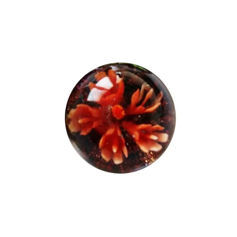 Calot flower 25mm rouge